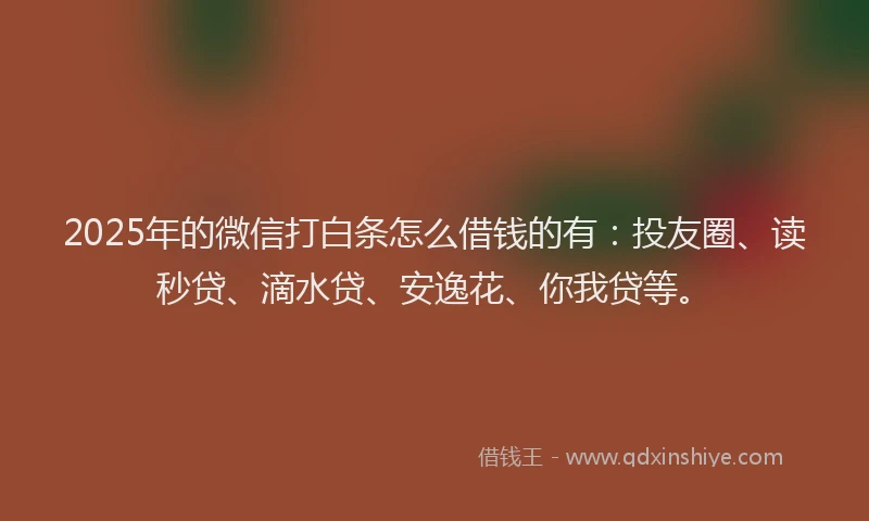 2025年的微信打白条怎么借钱的有：投友圈、读秒贷、滴水贷、安逸花、你我贷等。