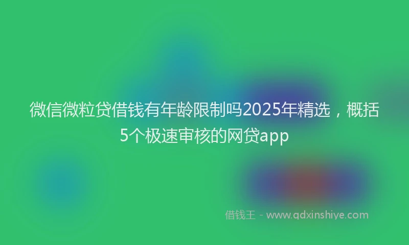 微信微粒贷借钱有年龄限制吗2025年精选，概括5个极速审核的网贷app