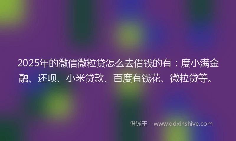 2025年的微信微粒贷怎么去借钱的有：度小满金融、还呗、小米贷款、百度有钱花、微粒贷等。