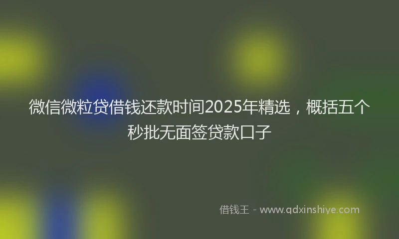 微信微粒贷借钱还款时间2025年精选，概括五个秒批无面签贷款口子