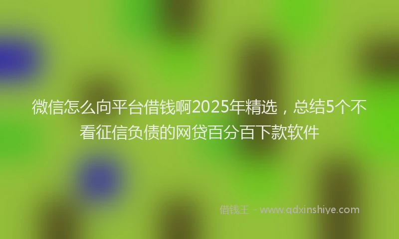 微信怎么向平台借钱啊2025年精选，总结5个不看征信负债的网贷百分百下款软件