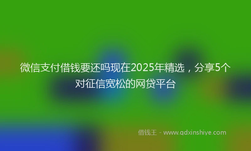 微信支付借钱要还吗现在2025年精选，分享5个对征信宽松的网贷平台
