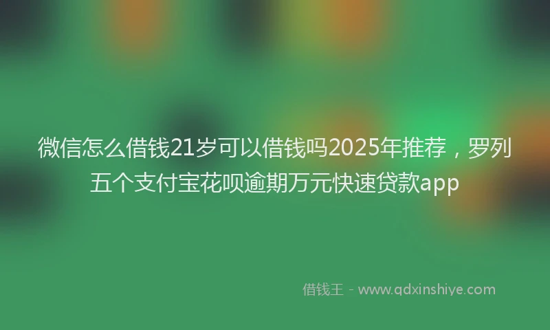 微信怎么借钱21岁可以借钱吗2025年推荐，罗列五个支付宝花呗逾期万元快速贷款app