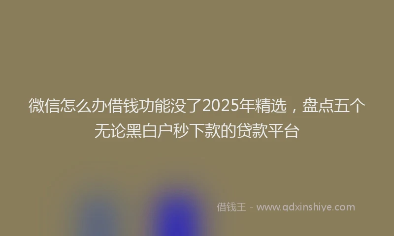 微信怎么办借钱功能没了2025年精选，盘点五个无论黑白户秒下款的贷款平台