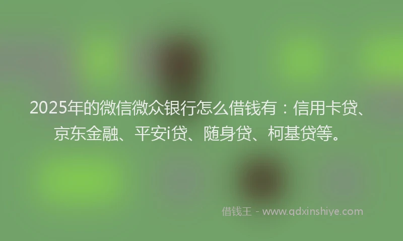 2025年的微信微众银行怎么借钱有：信用卡贷、京东金融、平安i贷、随身贷、柯基贷等。