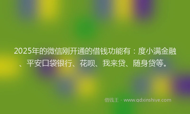 2025年的微信刚开通的借钱功能有：度小满金融、平安口袋银行、花呗、我来贷、随身贷等。