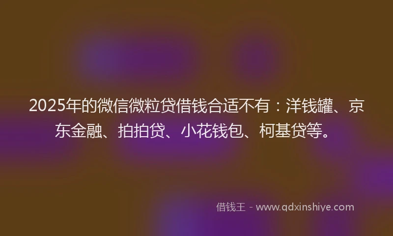 2025年的微信微粒贷借钱合适不有：洋钱罐、京东金融、拍拍贷、小花钱包、柯基贷等。