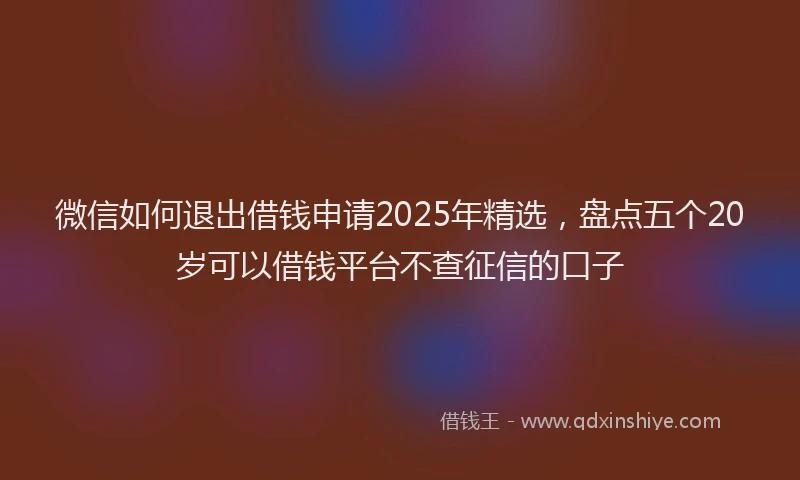 微信如何退出借钱申请2025年精选，盘点五个20岁可以借钱平台不查征信的口子