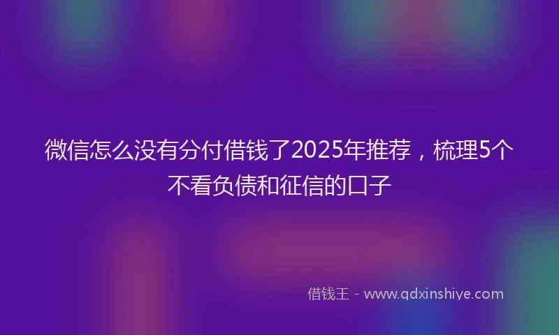 微信怎么没有分付借钱了2025年推荐，梳理5个不看负债和征信的口子