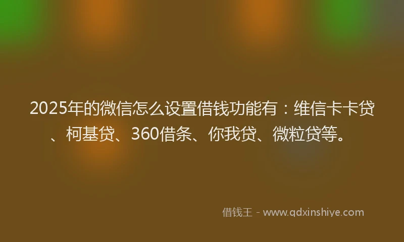 2025年的微信怎么设置借钱功能有：维信卡卡贷、柯基贷、360借条、你我贷、微粒贷等。