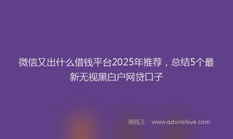 微信又出什么借钱平台2025年推荐，总结5个最新无视黑白户网贷口子
