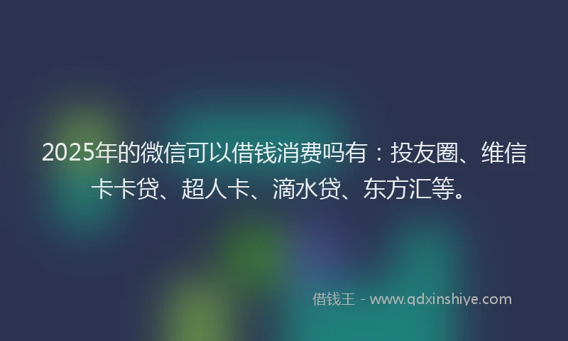 2025年的微信可以借钱消费吗有：投友圈、维信卡卡贷、超人卡、滴水贷、东方汇等。