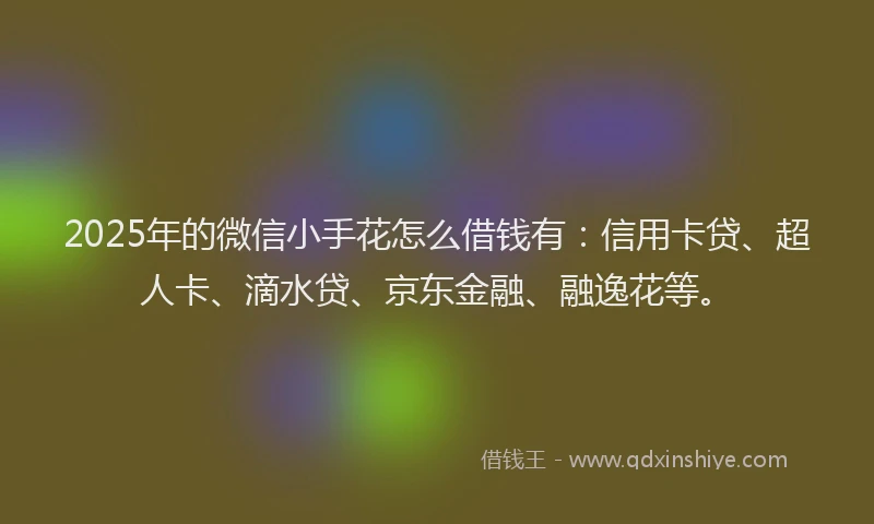 2025年的微信小手花怎么借钱有：信用卡贷、超人卡、滴水贷、京东金融、融逸花等。