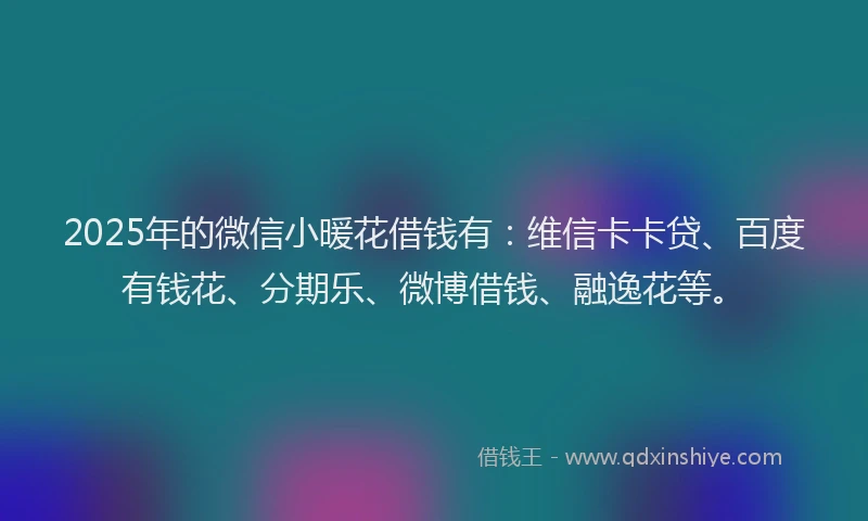 2025年的微信小暖花借钱有：维信卡卡贷、百度有钱花、分期乐、微博借钱、融逸花等。