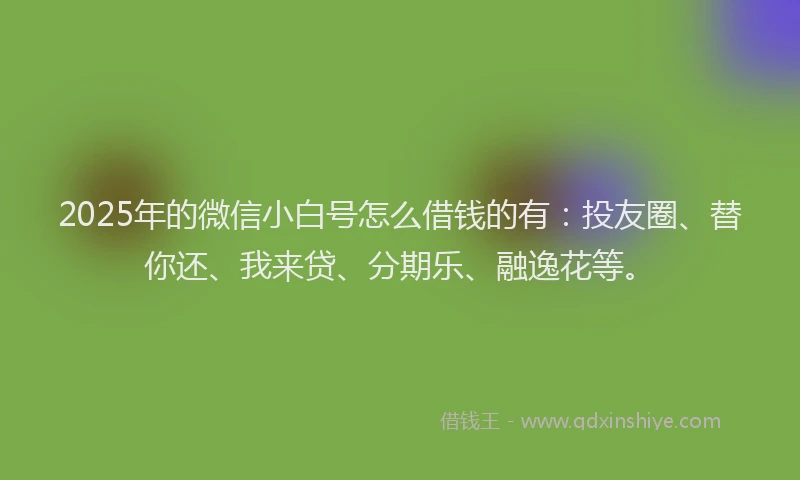 2025年的微信小白号怎么借钱的有：投友圈、替你还、我来贷、分期乐、融逸花等。