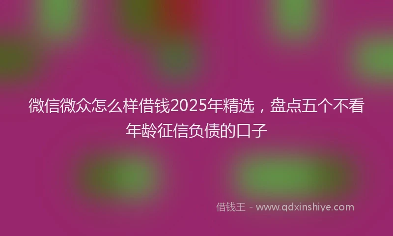 微信微众怎么样借钱2025年精选，盘点五个不看年龄征信负债的口子