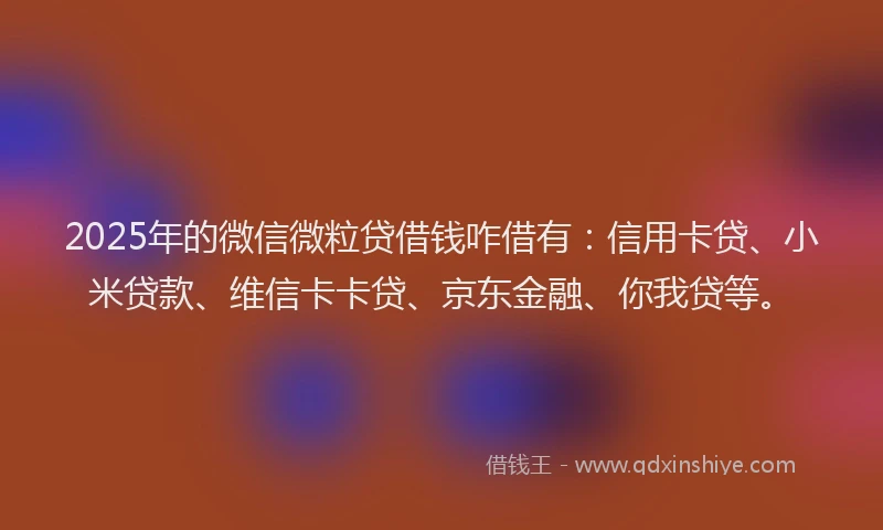 2025年的微信微粒贷借钱咋借有：信用卡贷、小米贷款、维信卡卡贷、京东金融、你我贷等。