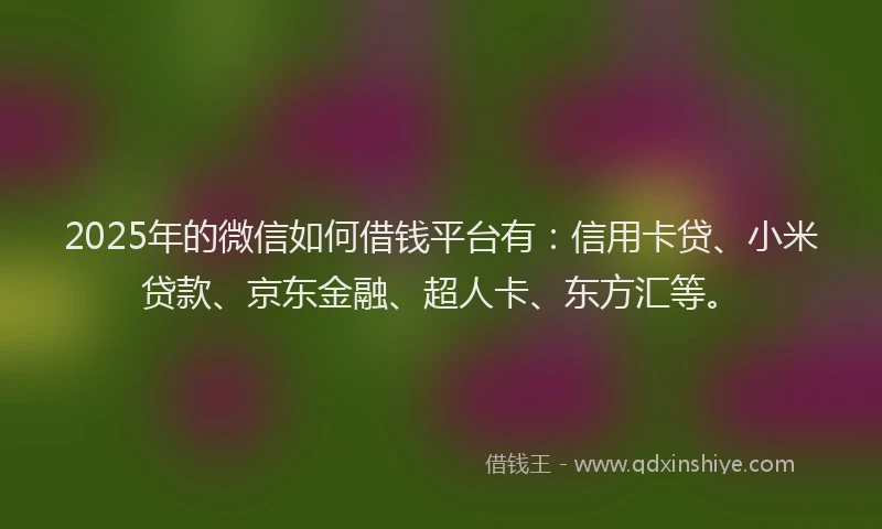 2025年的微信如何借钱平台有:信用卡贷、小米贷款、京东金融、超人卡、东方汇等。