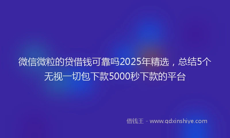 微信微粒的贷借钱可靠吗2025年精选，总结5个无视一切包下款5000秒下款的平台