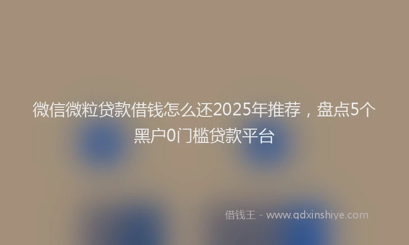 微信微粒贷款借钱怎么还2025年推荐，盘点5个黑户0门槛贷款平台