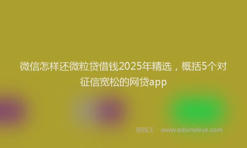 微信怎样还微粒贷借钱2025年精选，概括5个对征信宽松的网贷app