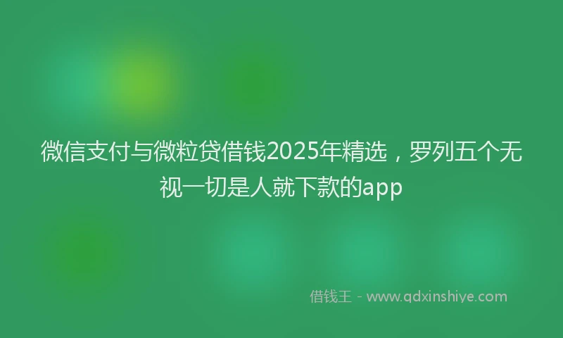 微信支付与微粒贷借钱2025年精选，罗列五个无视一切是人就下款的app