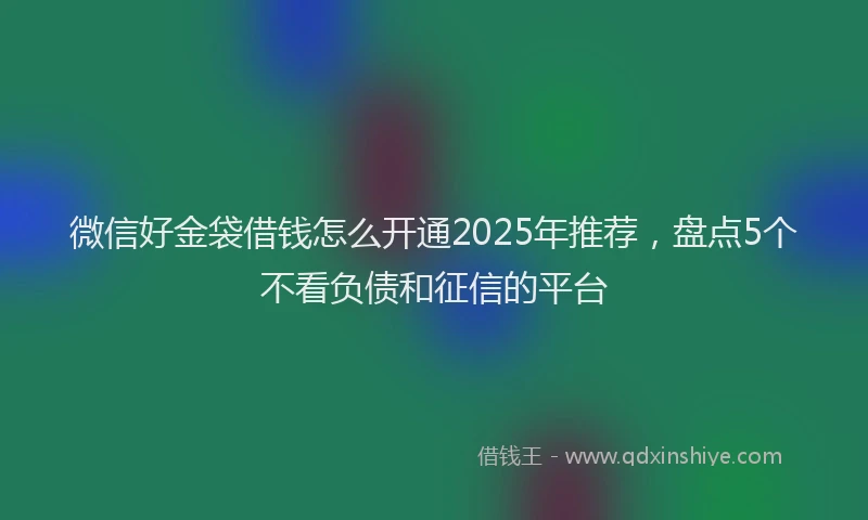 微信好金袋借钱怎么开通2025年推荐，盘点5个不看负债和征信的平台