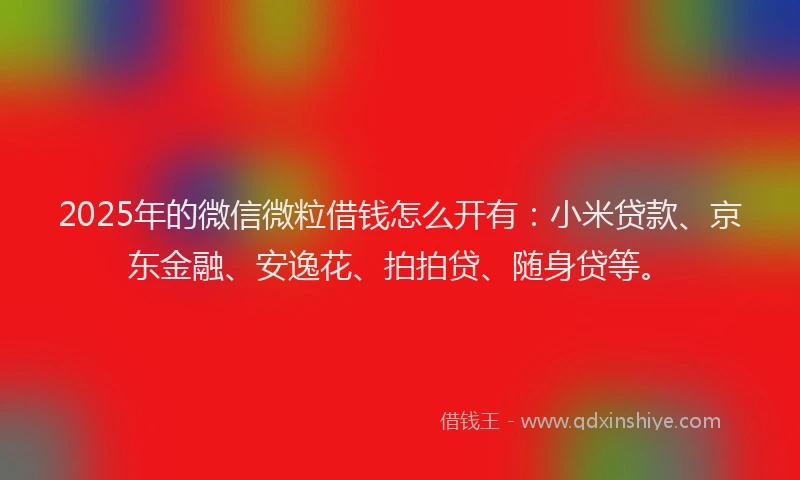 2025年的微信微粒借钱怎么开有：小米贷款、京东金融、安逸花、拍拍贷、随身贷等。