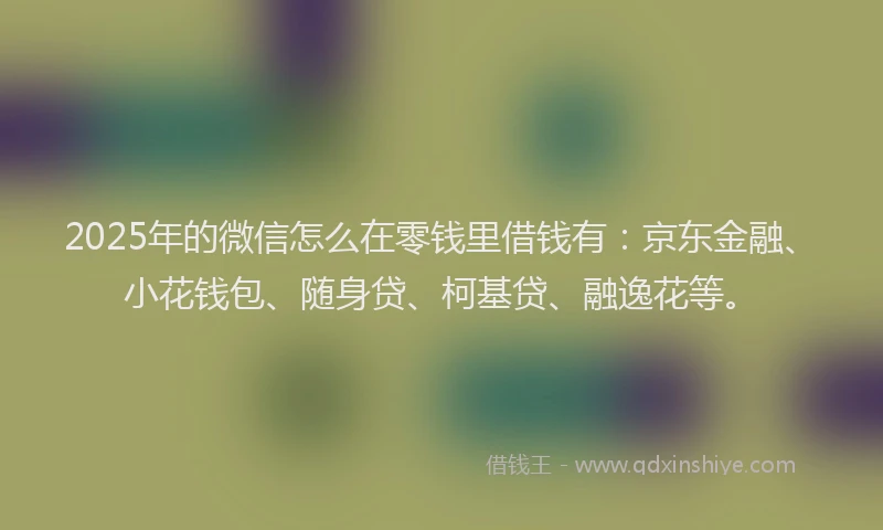 2025年的微信怎么在零钱里借钱有：京东金融、小花钱包、随身贷、柯基贷、融逸花等。