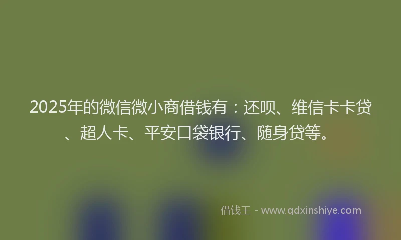 2025年的微信微小商借钱有：还呗、维信卡卡贷、超人卡、平安口袋银行、随身贷等。