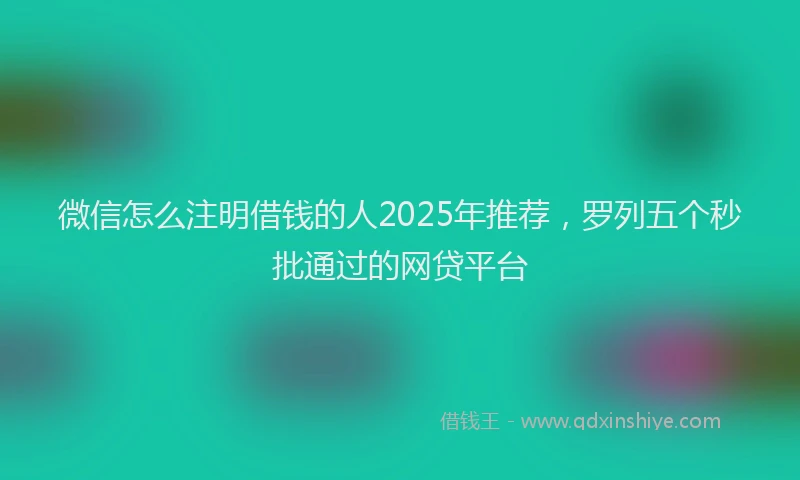 微信怎么注明借钱的人2025年推荐，罗列五个秒批通过的网贷平台