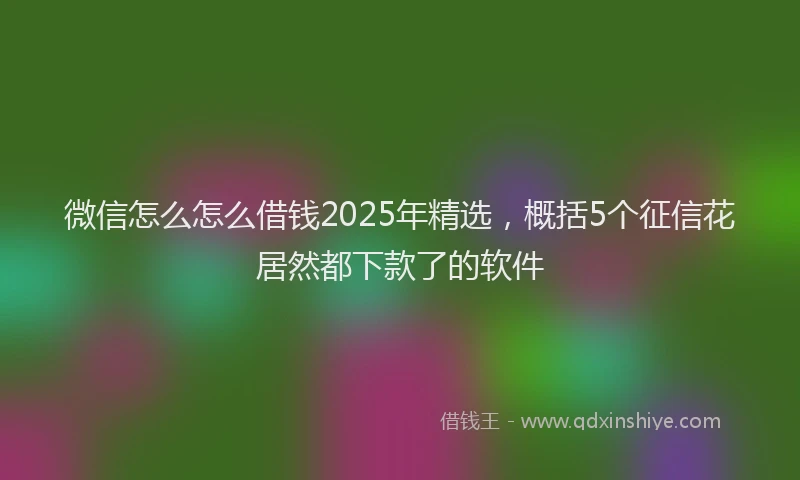 微信怎么怎么借钱2025年精选，概括5个征信花居然都下款了的软件