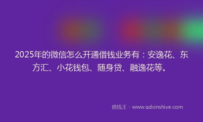 2025年的微信怎么开通借钱业务有：安逸花、东方汇、小花钱包、随身贷、融逸花等。