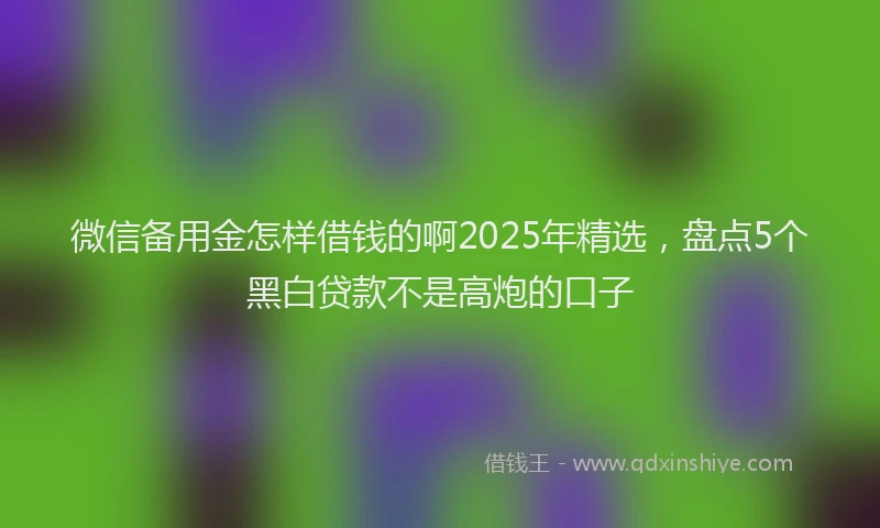 微信备用金怎样借钱的啊2025年精选，盘点5个黑白贷款不是高炮的口子