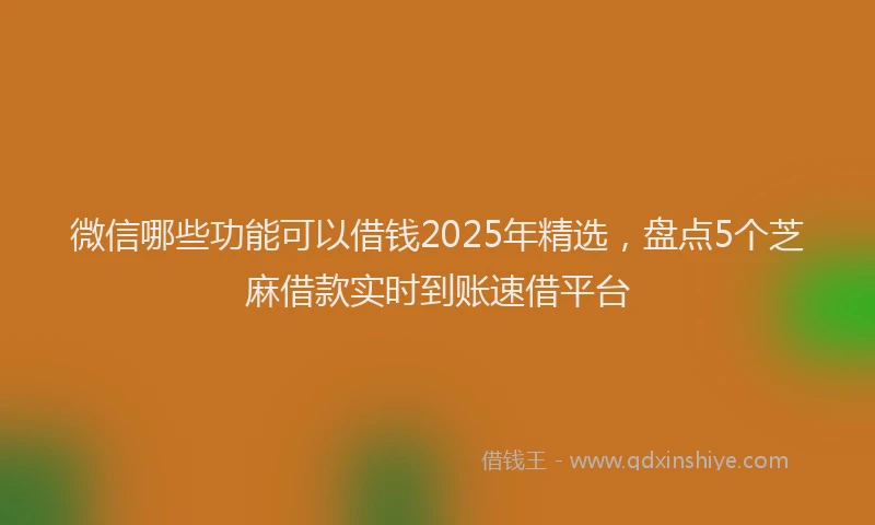 微信哪些功能可以借钱2025年精选，盘点5个芝麻借款实时到账速借平台