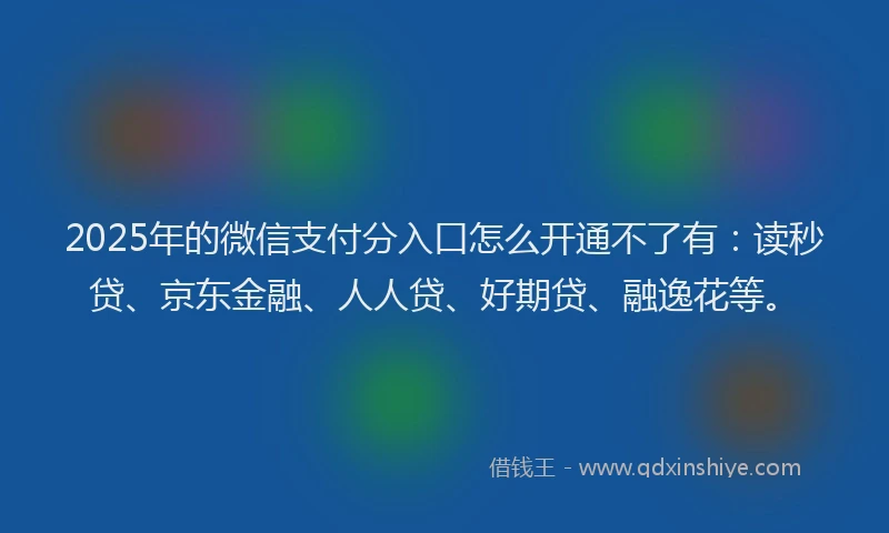 2025年的微信支付分入口怎么开通不了有：读秒贷、京东金融、人人贷、好期贷、融逸花等。