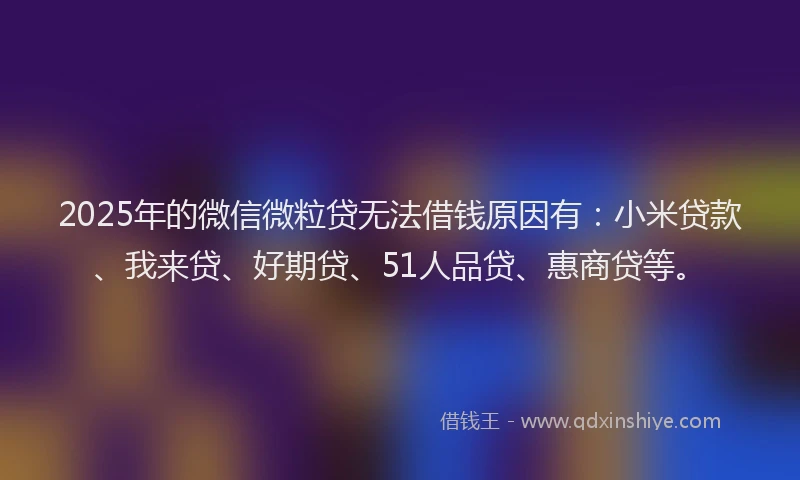 2025年的微信微粒贷无法借钱原因有：小米贷款、我来贷、好期贷、51人品贷、惠商贷等。