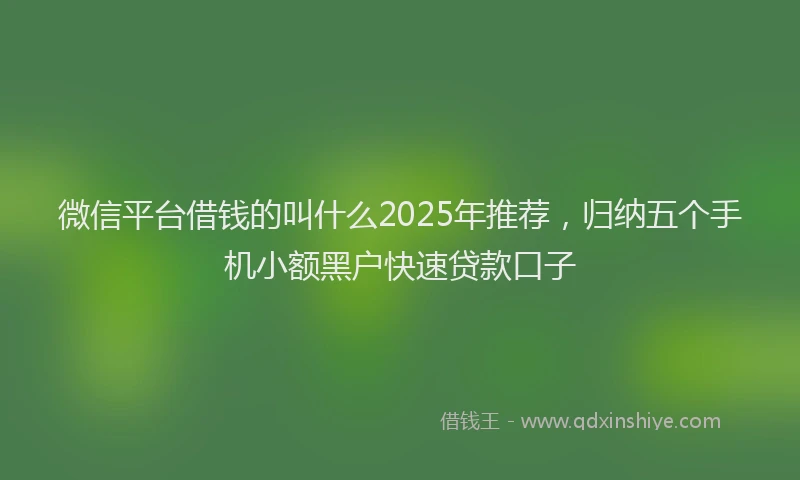 微信平台借钱的叫什么2025年推荐，归纳五个手机小额黑户快速贷款口子