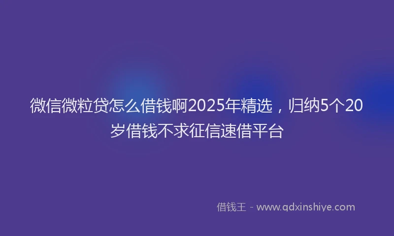 微信微粒贷怎么借钱啊2025年精选，归纳5个20岁借钱不求征信速借平台
