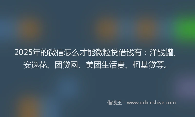 2025年的微信怎么才能微粒贷借钱有：洋钱罐、安逸花、团贷网、美团生活费、柯基贷等。