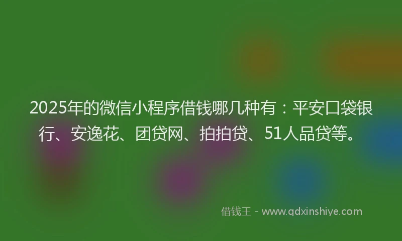 2025年的微信小程序借钱哪几种有：平安口袋银行、安逸花、团贷网、拍拍贷、51人品贷等。