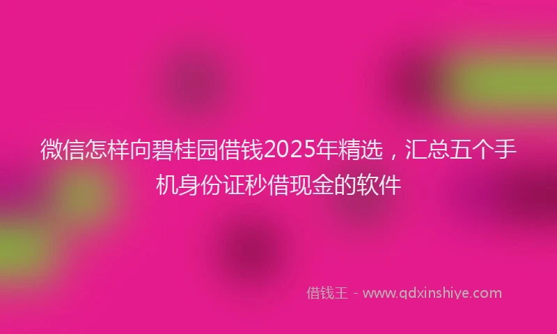 微信怎样向碧桂园借钱2025年精选，汇总五个手机身份证秒借现金的软件