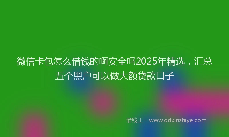 微信卡包怎么借钱的啊安全吗2025年精选，汇总五个黑户可以做大额贷款口子
