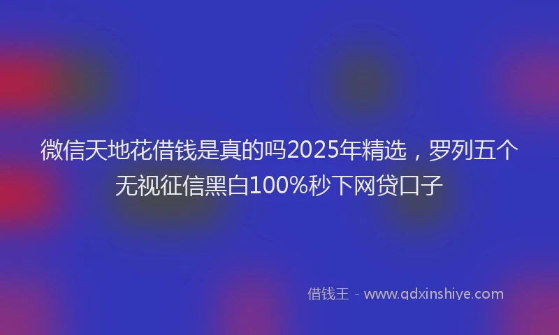 微信天地花借钱是真的吗2025年精选，罗列五个无视征信黑白100%秒下网贷口子
