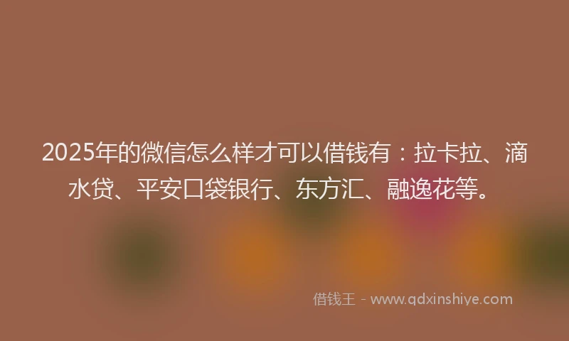 2025年的微信怎么样才可以借钱有:拉卡拉、滴水贷、平安口袋银行、东方汇、融逸花等。