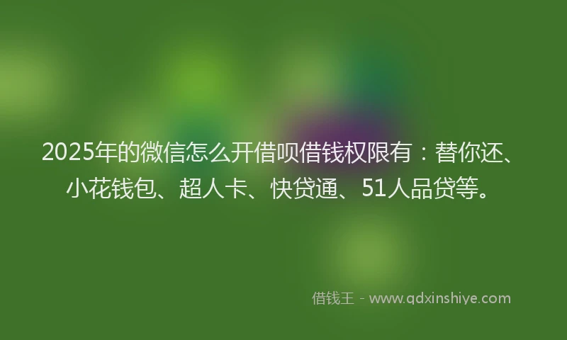 2025年的微信怎么开借呗借钱权限有：替你还、小花钱包、超人卡、快贷通、51人品贷等。