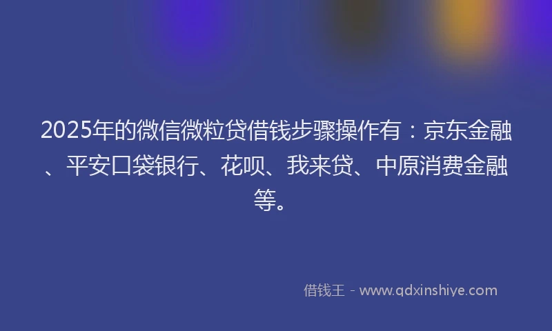 2025年的微信微粒贷借钱步骤操作有：京东金融、平安口袋银行、花呗、我来贷、中原消费金融等。