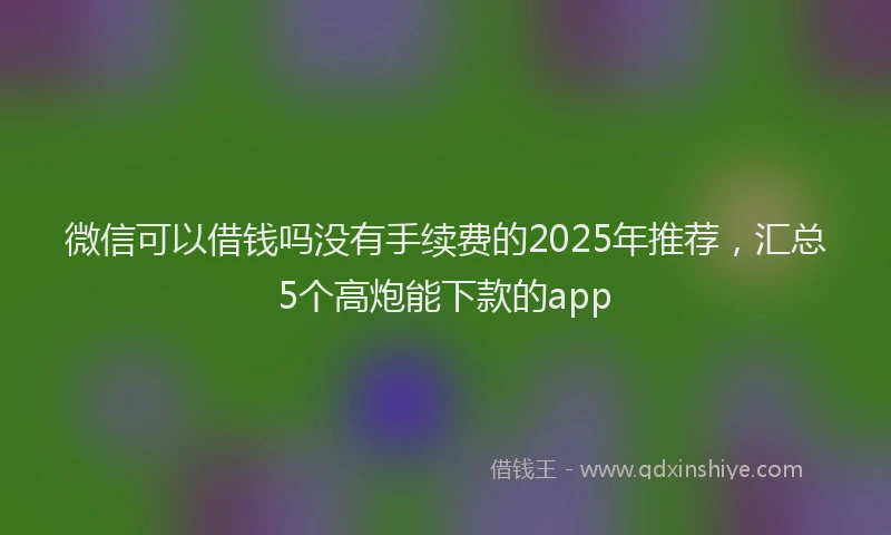微信可以借钱吗没有手续费的2025年推荐，汇总5个高炮能下款的app