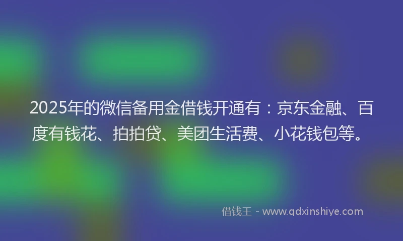 2025年的微信备用金借钱开通有：京东金融、百度有钱花、拍拍贷、美团生活费、小花钱包等。