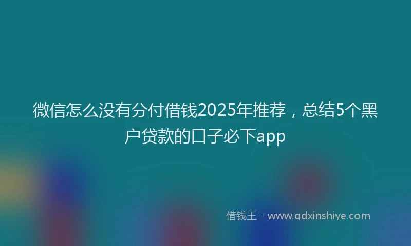 微信怎么没有分付借钱2025年推荐，总结5个黑户贷款的口子必下app